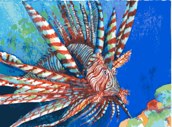 Lionfish
