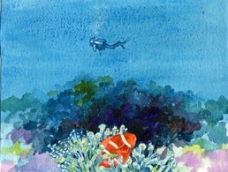 10-30 diving Twin Tunnels