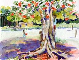 we collected 2nd world war momentoes on this island