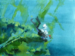 11-6 Japanese Freighter at Kauswu Mari, Georgia Is.