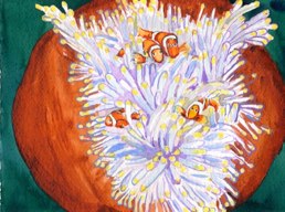 11-12 a dive with clown fish