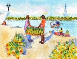 11-19 Auki, Malaita Lots of Bananas