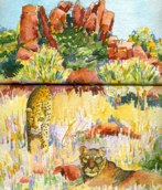 May 17 Lyons and Leopards
