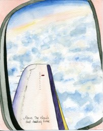 A view from the window