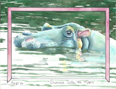 Sunrise with The Hypos