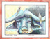 Cape Buffalo + Birds
