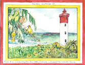 Oyster Box Hotel, Durban - Weaver Birds